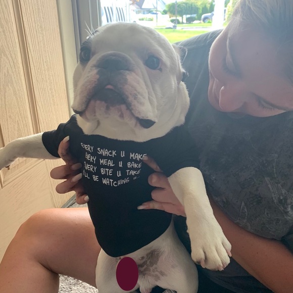 Club Huey bundle dog tshirts. - Picture 2 of 4